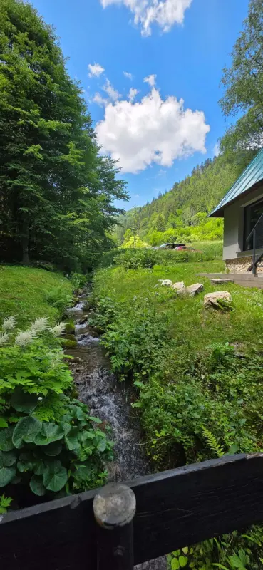 Izba Apartmanica Mountain Cottage Rybie 480, Staré Hory v CTS - CONSULTING TRADE SERVICE s.r.o. – Horská chata na samote pri lese s potokom, Rybie